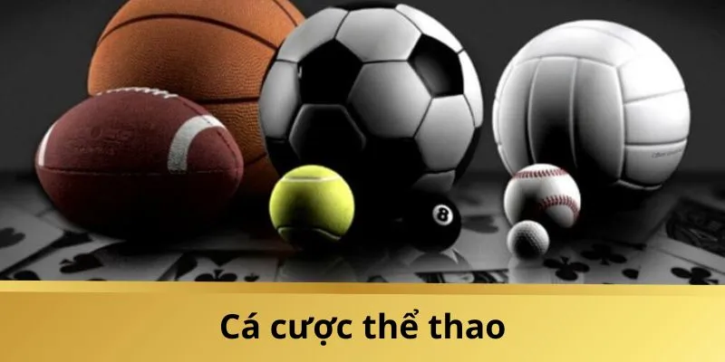 Sảnh thể thao luôn là tâm điểm chú ý