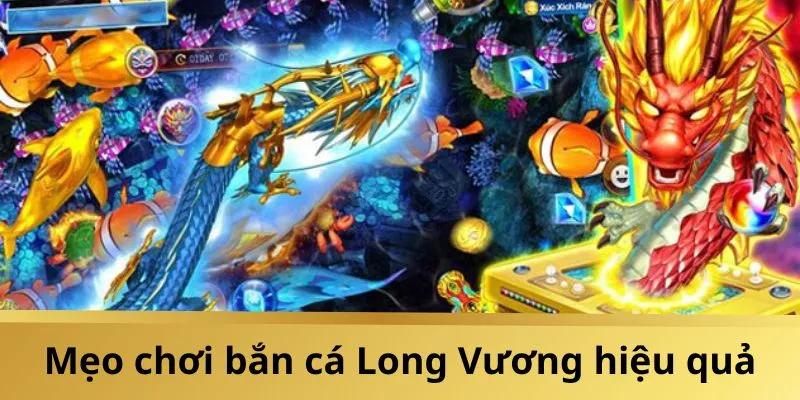 Bật mí mẹo săn thưởng đỉnh cao