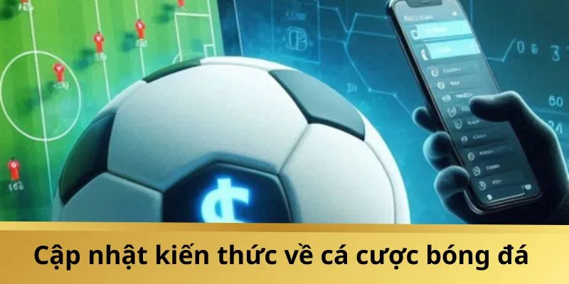 Bet thủ nên tìm hiểu thông tin liên quan đến cá cược bóng đá