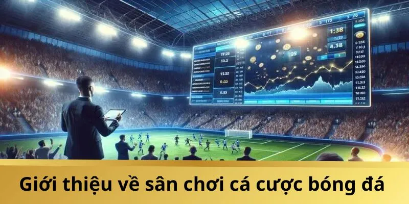 Thông tin sơ lược về sảnh cá cược bóng đá trực tuyến V7BET