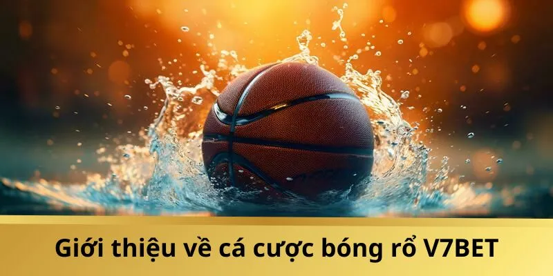 Thông tin sơ lược về sảnh cá cược bóng rổ