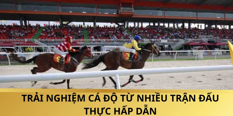 Đầu tư vào các trận đấu kịch tính từ nhiều quốc gia trên thế giới