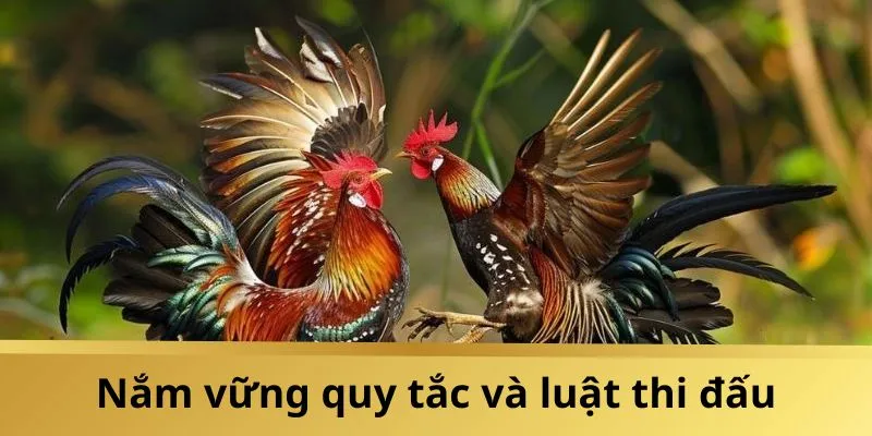 Tìm hiểu luật chơi chi tiết