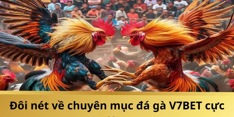 Thông tin sơ lược về sân chơi đá gà V7BET