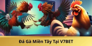 da-ga-mien-Tay-V7BET