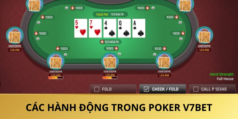 Những hành động thực hiện trong mỗi vòng cược