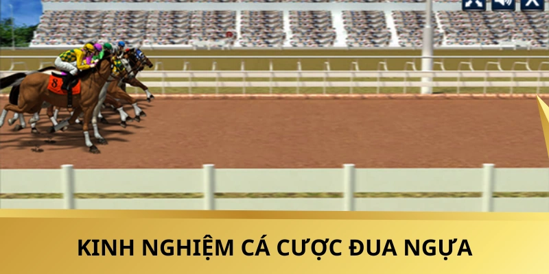 Học hỏi kinh nghiệm hiệu quả để cá cược đua ngựa