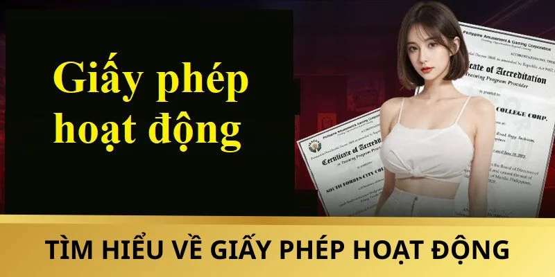 Tìm hiểu sơ lược về giấy phép hoạt động nhà cái